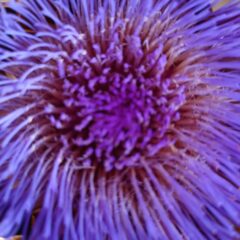 Was ich zu sagen vermag,was mir wichtig ist….