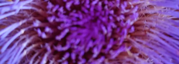 Was ich zu sagen vermag,was mir wichtig ist….