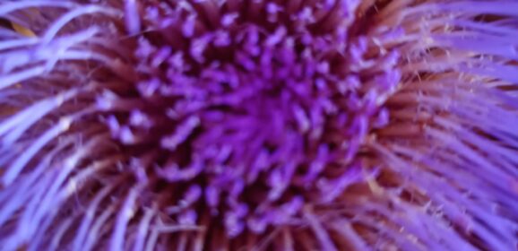 Was ich zu sagen vermag,was mir wichtig ist….