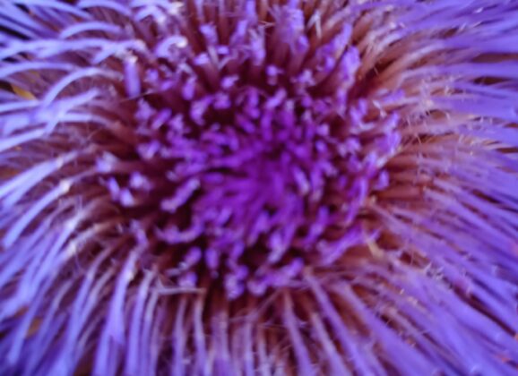 Was ich zu sagen vermag,was mir wichtig ist….